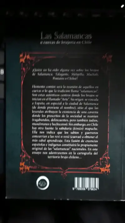Libro 'Las Salamancas' de Sergio Fritz Roa - miniatura 2