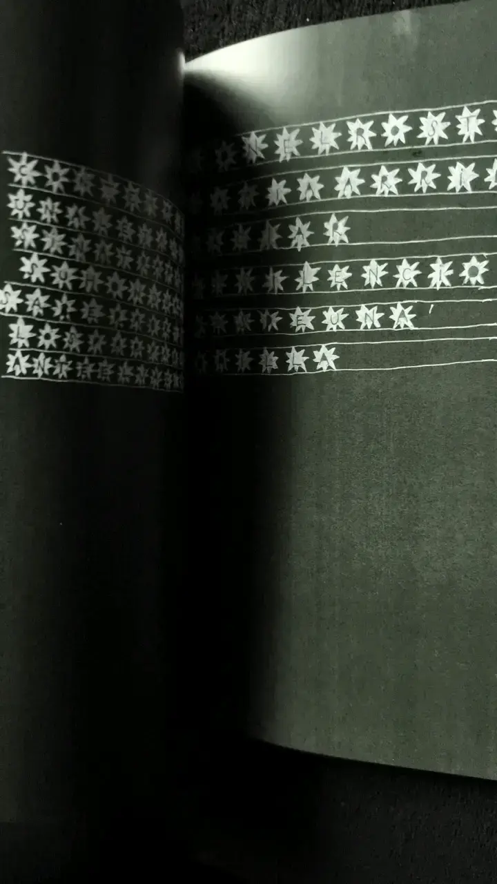 Libro 'Las Estrellas Son El Registro De La Noche' - 3