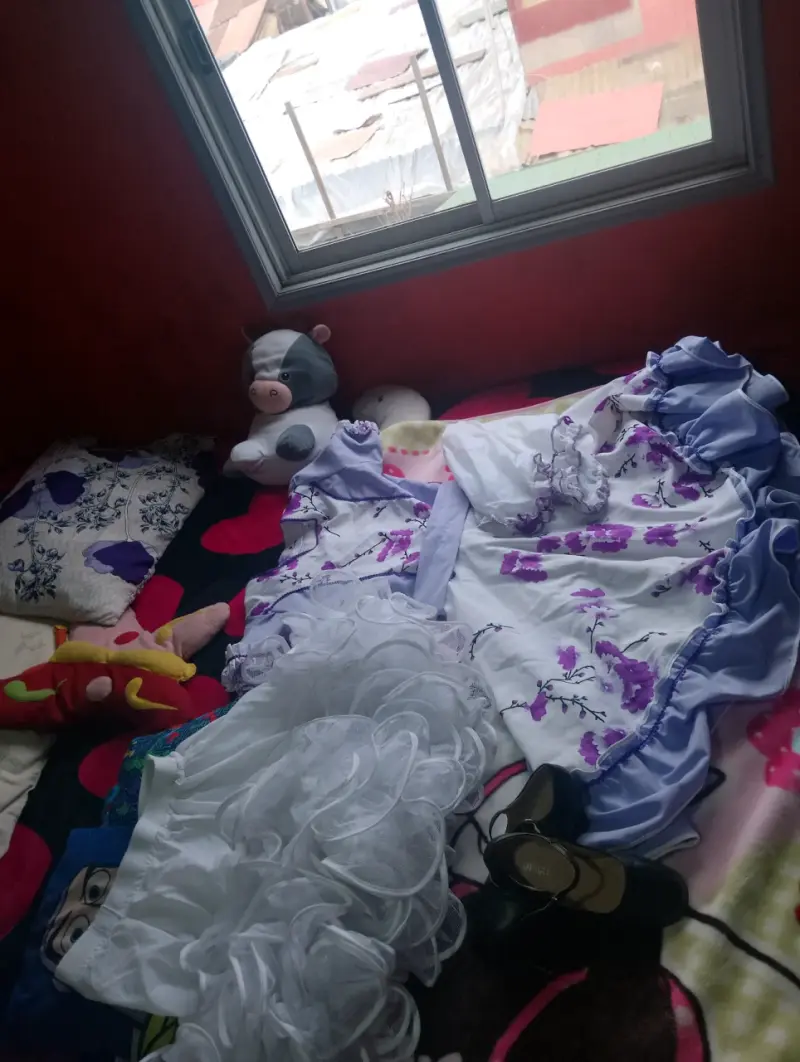 Vestido de Cueca y zapatos y pañuelo - 3