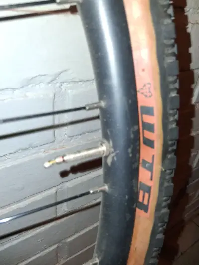 Rueda de bicicleta WTB con neumático de montaña - miniatura 1