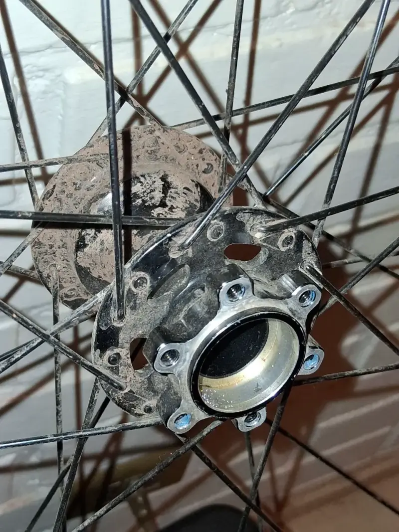 Rueda de bicicleta WTB con neumático de montaña - 3