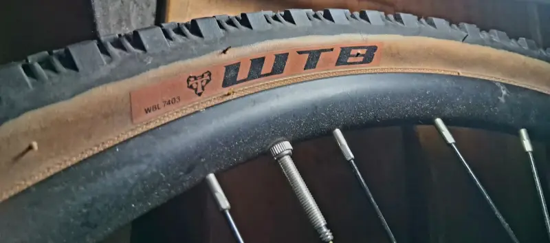 Rueda de bicicleta WTB con neumático de montaña - 6