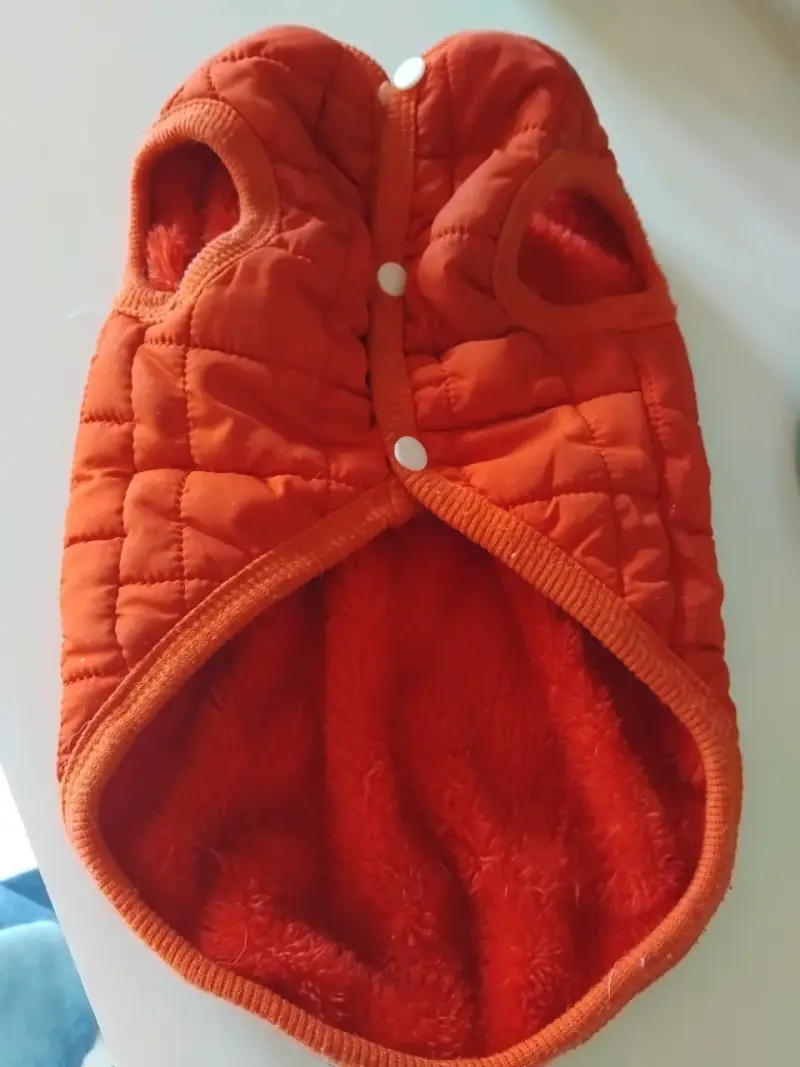 Cama acolchada para mascotas color rosa - 5
