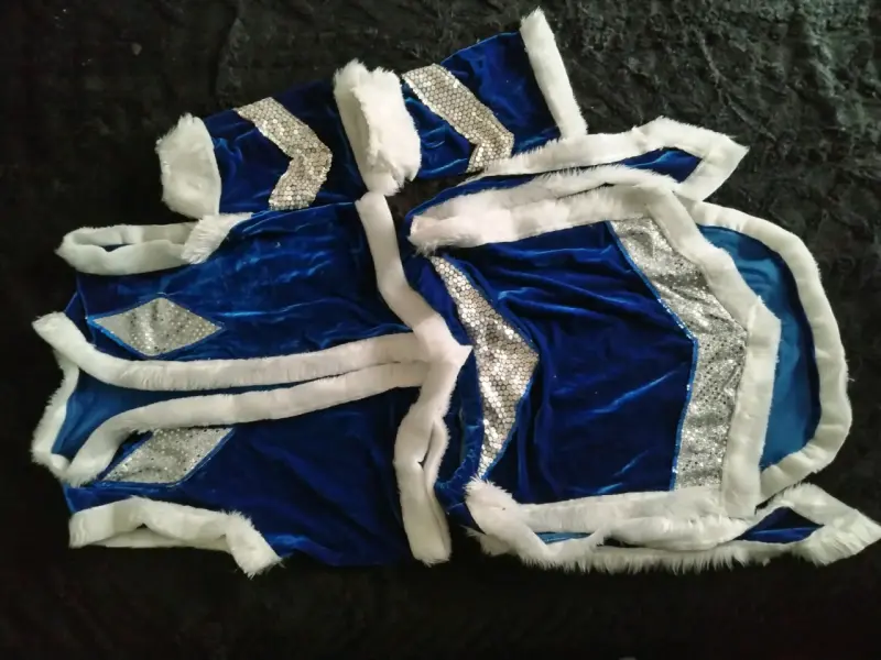 Disfraz de luchador azul con alas y lentejuelas - 2