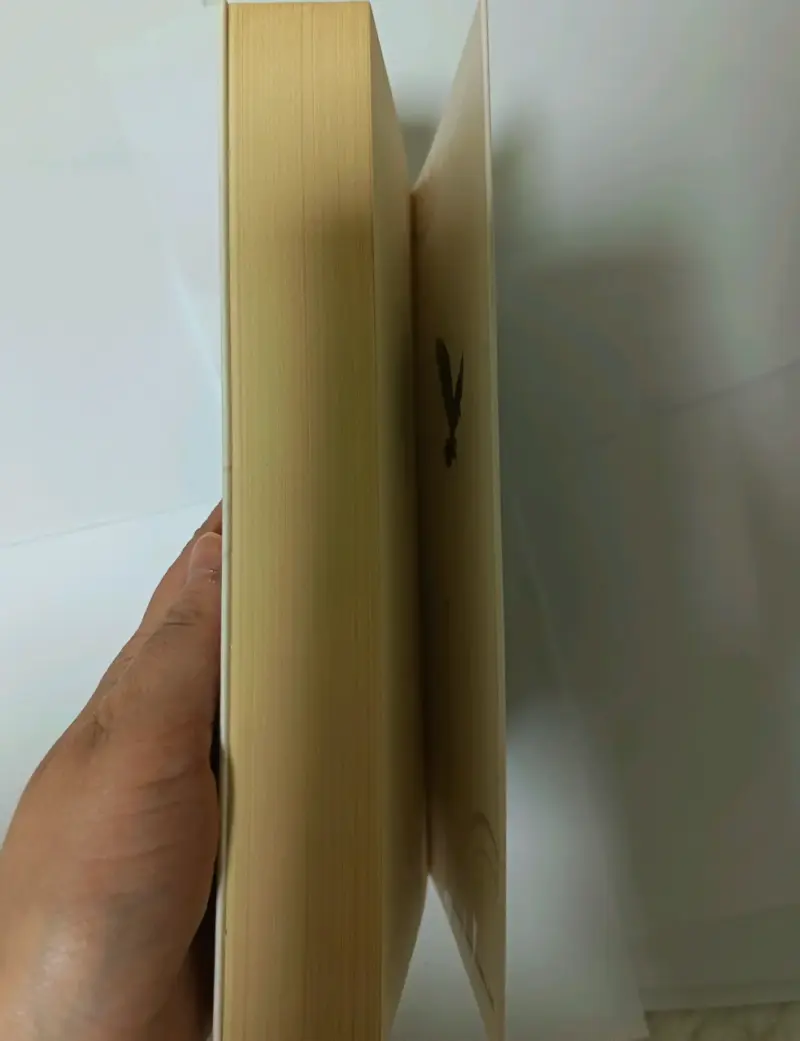 Libro 'The Raven Boys: La Profecía del Cuervo' de Maggie Stiefvater - 3