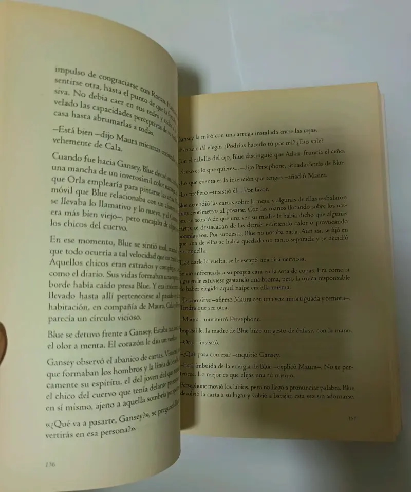 Libro 'The Raven Boys: La Profecía del Cuervo' de Maggie Stiefvater - 4