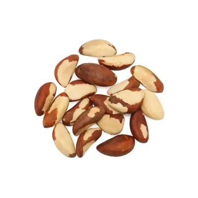 Nueces de Brasil - miniatura 1