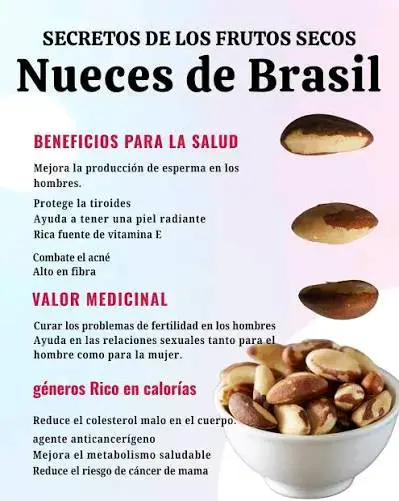 Nueces de Brasil - 2