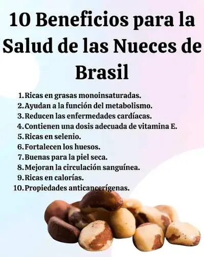 Nueces de Brasil - 3