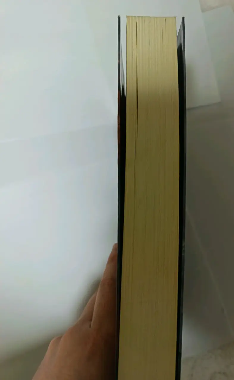 Libro Cazadores de Sombras: Ciudad de las Almas Perdidas - 3