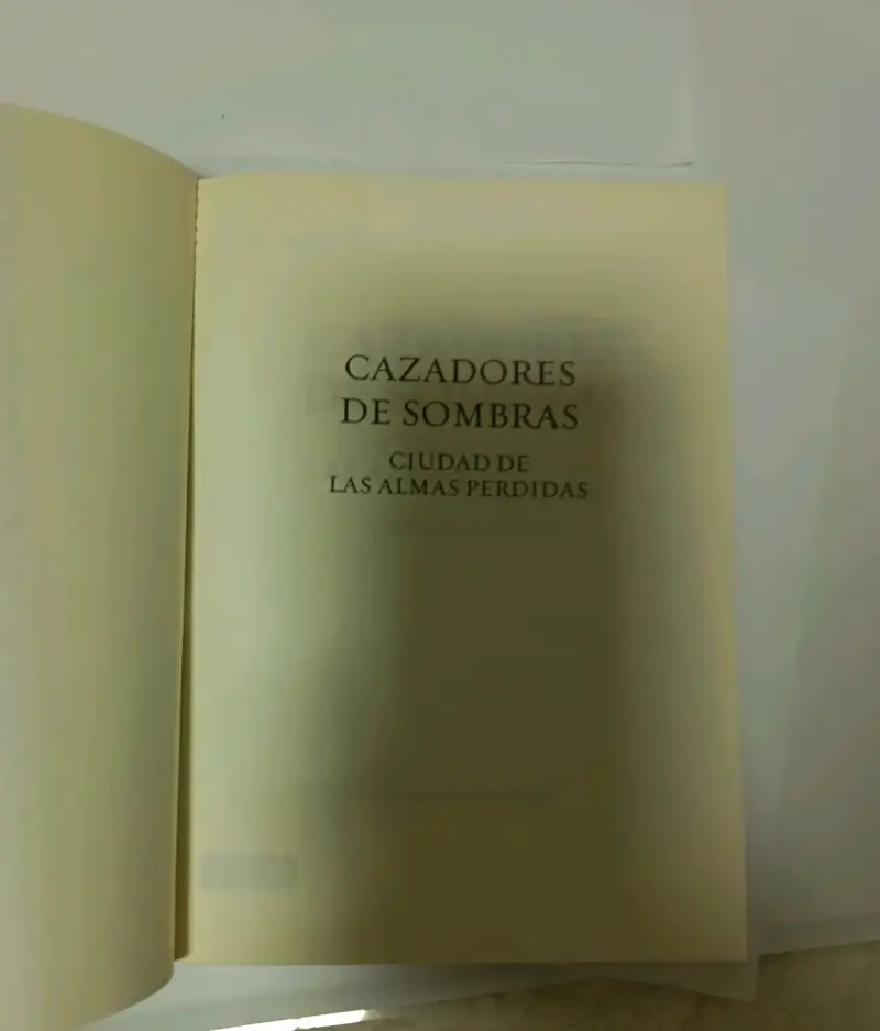 Libro Cazadores de Sombras: Ciudad de las Almas Perdidas - 4