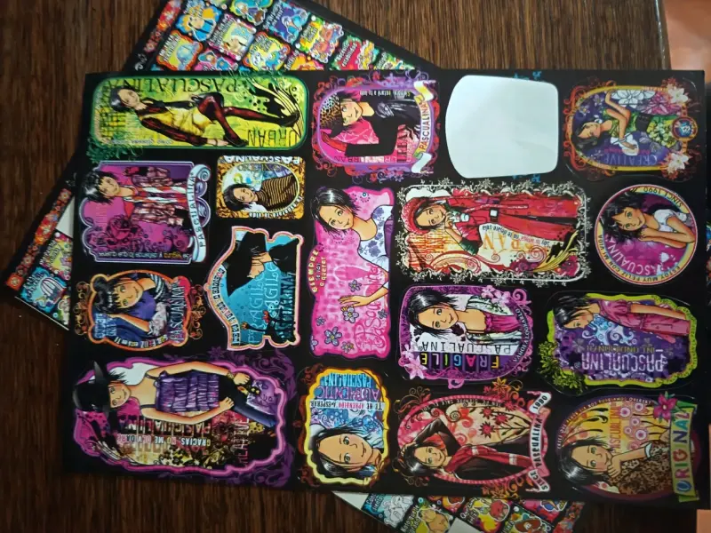 Set de Stickers Pascualina 2010 y 2011 - 6