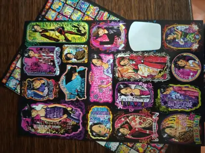 Set de Stickers Pascualina 2010 y 2011 - miniatura 6