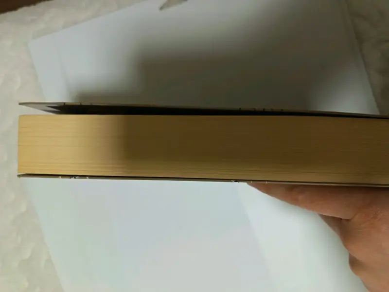 Libro Delirium de Lauren Oliver en buen estado - 5