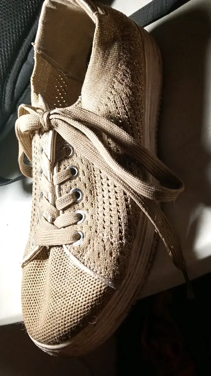 Zapatos de vestir dama todos talla 37 - 6
