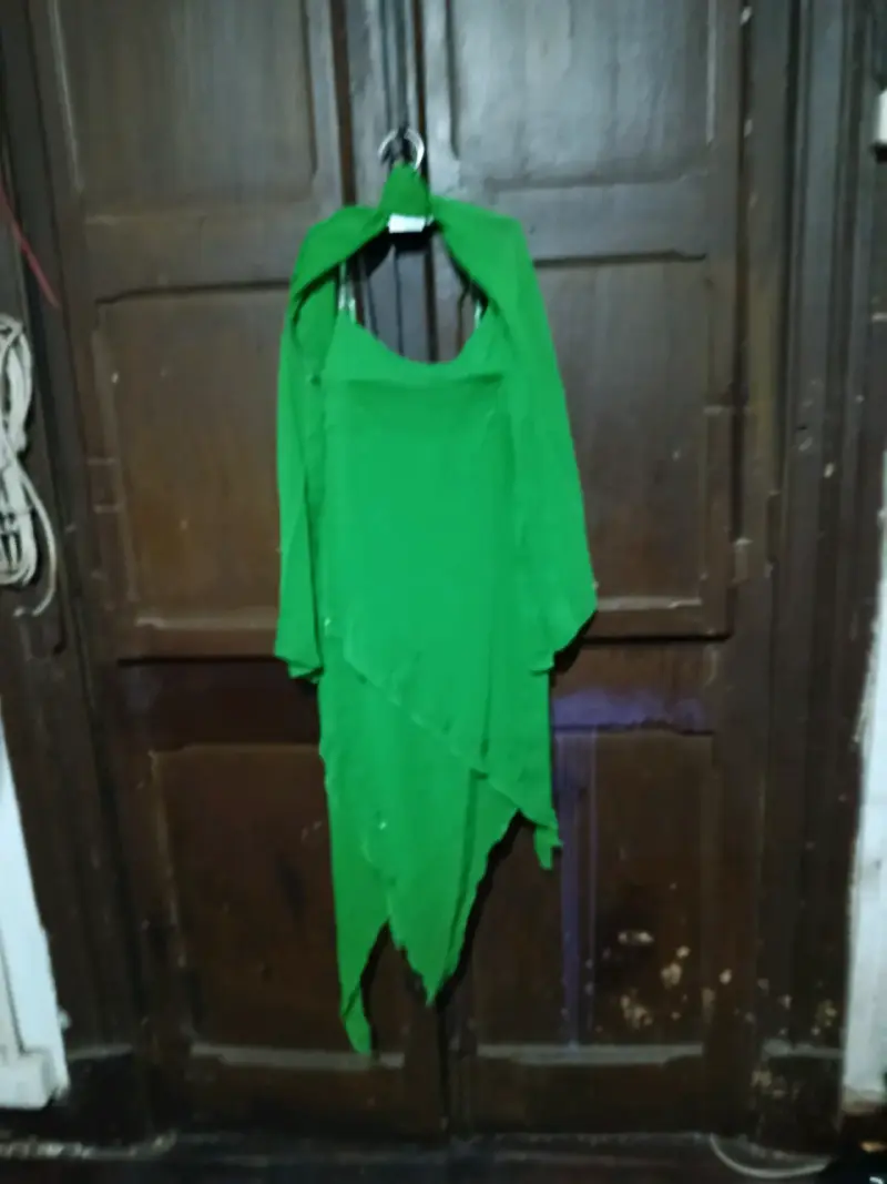 Vestido verde con detalles decorativos - 1