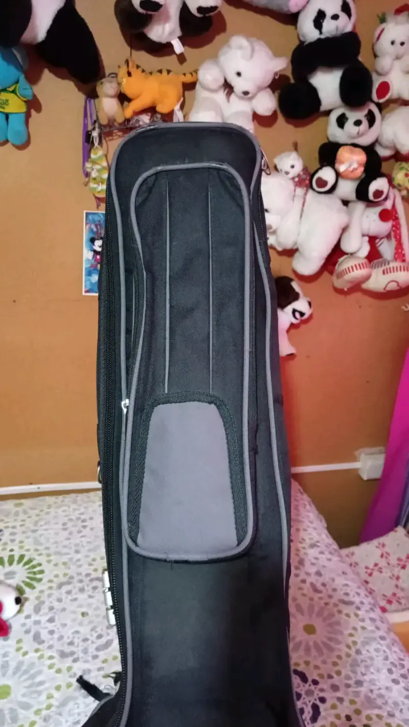 Bajo eléctrico con funda y acabado sunburst - 2
