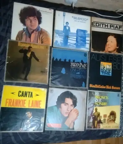 Colección de discos de vinilo variados - miniatura 1