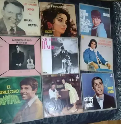 Colección de discos de vinilo variados - miniatura 2