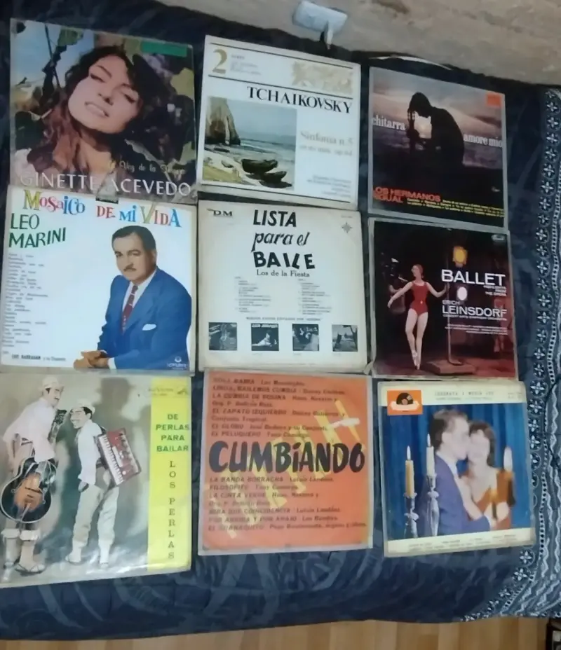 Colección de discos de vinilo variados - 3