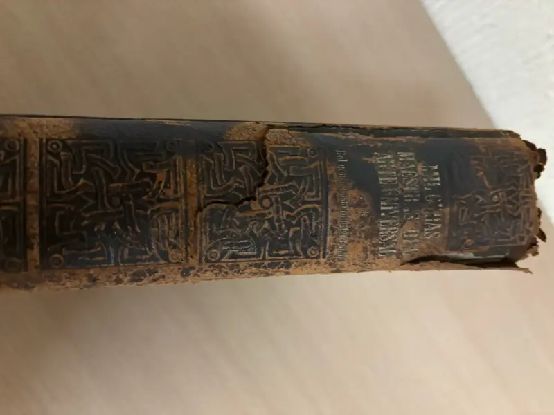 Libros Mil Obras Maestras del Arte Universal - 5