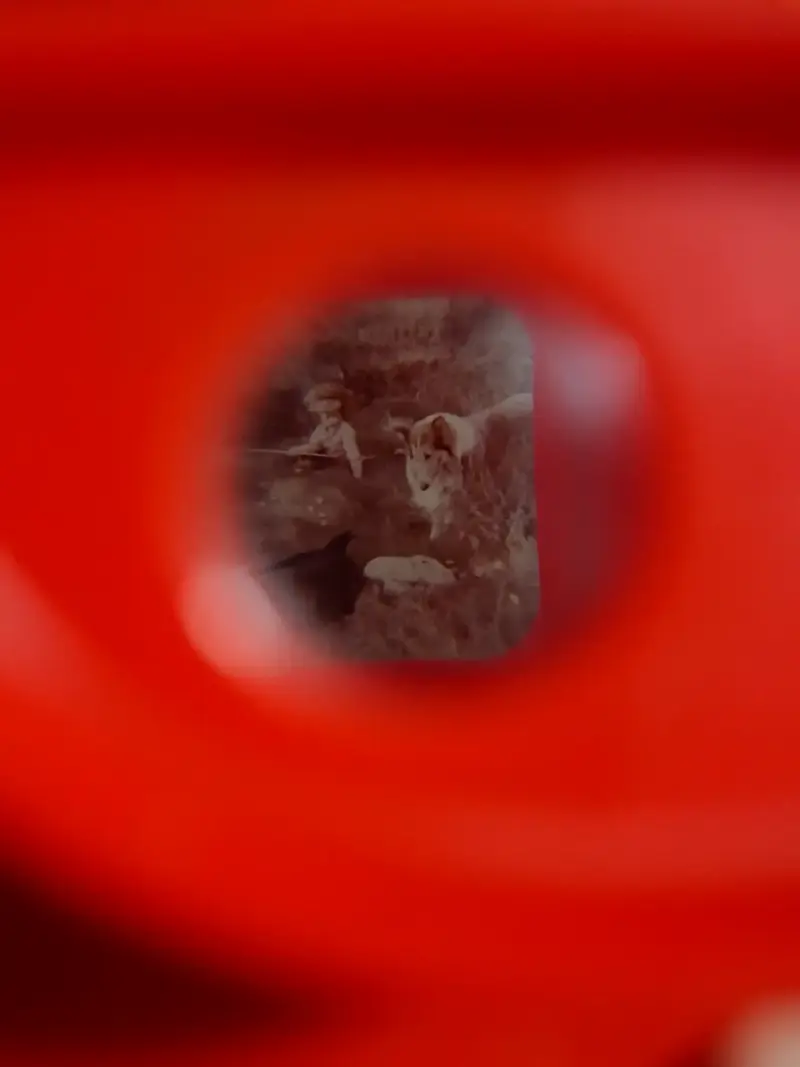 Visor View-Master Classic con disco Lassie y Timmy - 3