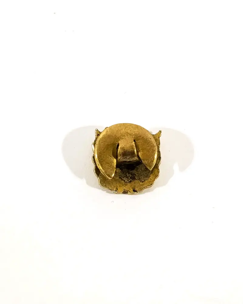 Pin Pompe France, 5a Compañía de Bomberos Valpo. - 2