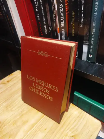 Los mejores libros chilenos - miniatura 5
