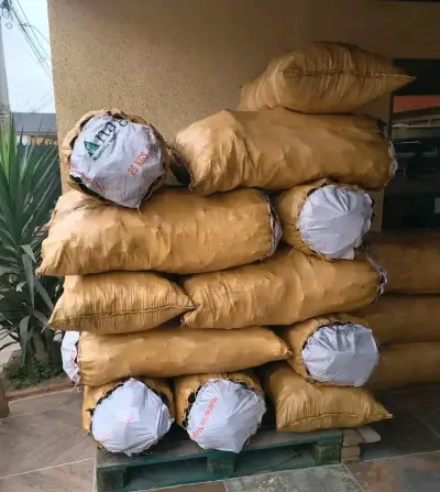 Sacos de Carbón Vegetal 50 kg - miniatura 1