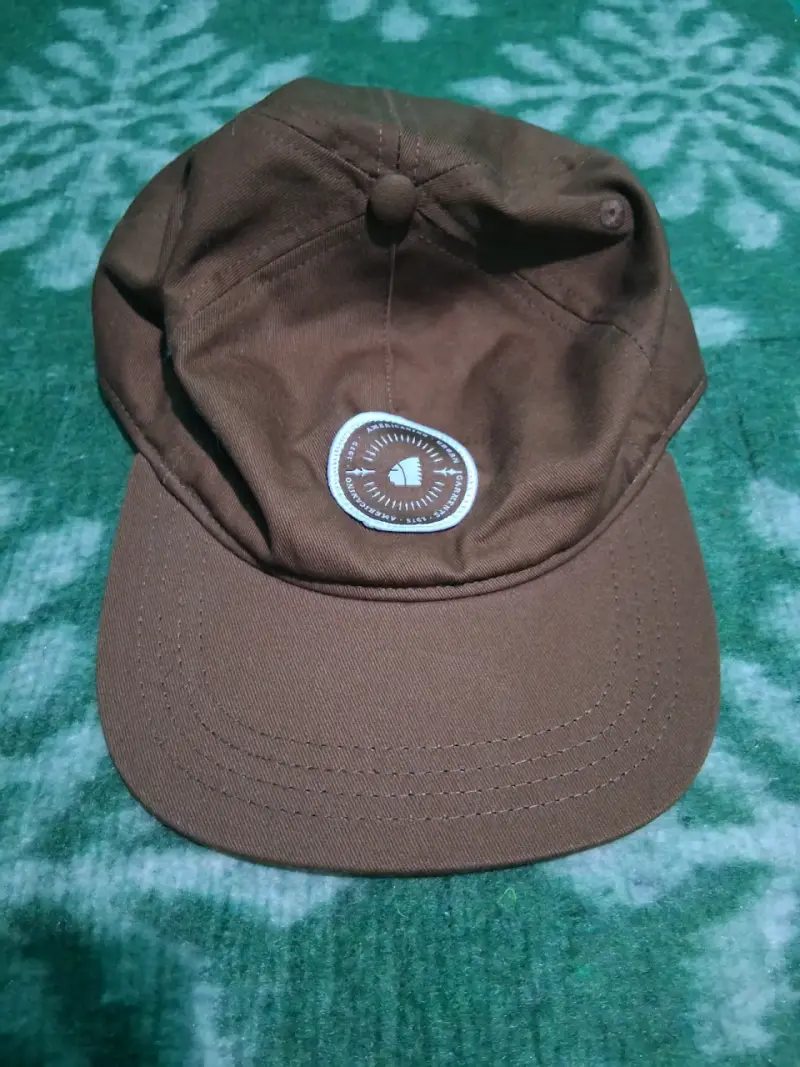 Gorra marrón estilo urbano Americano - 4