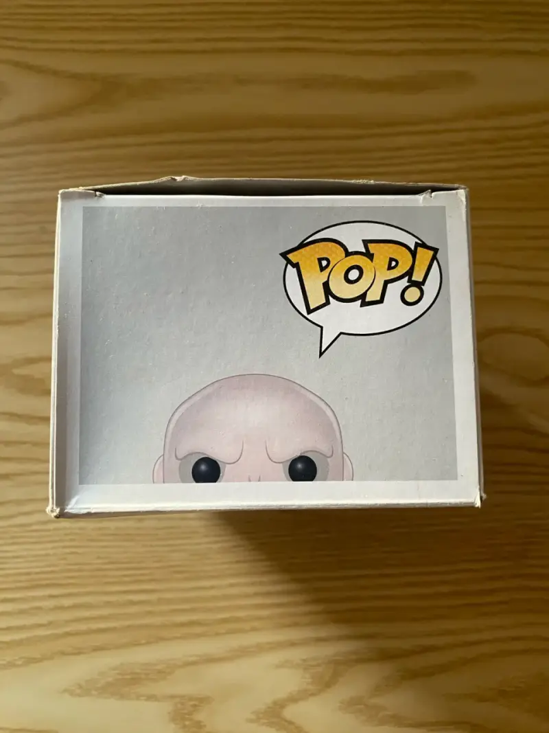 Funko pop Lord Voldemort #6 - Harry Potter - 2