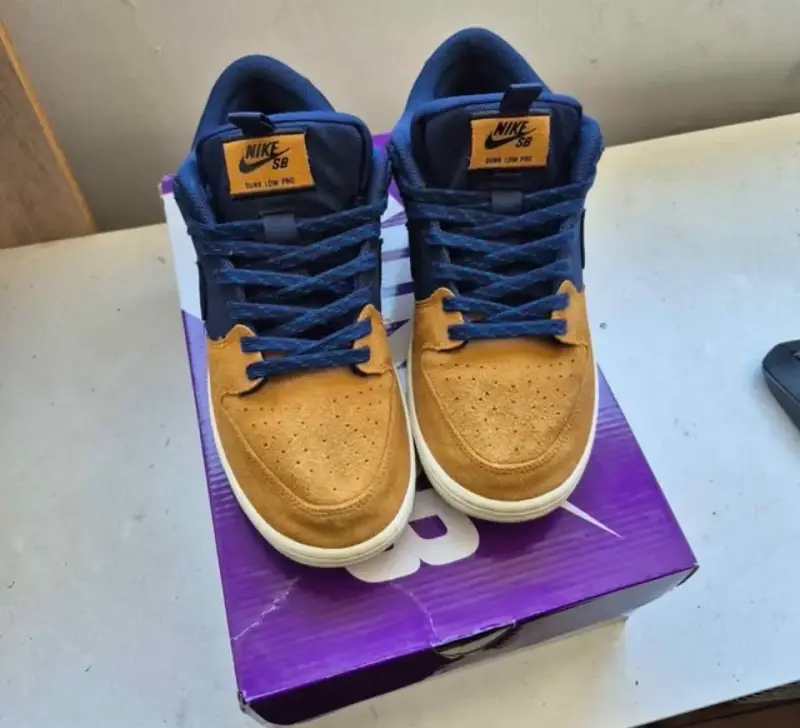 Zapatillas Nike SB Dunk Low Pro azul y marrón - 1