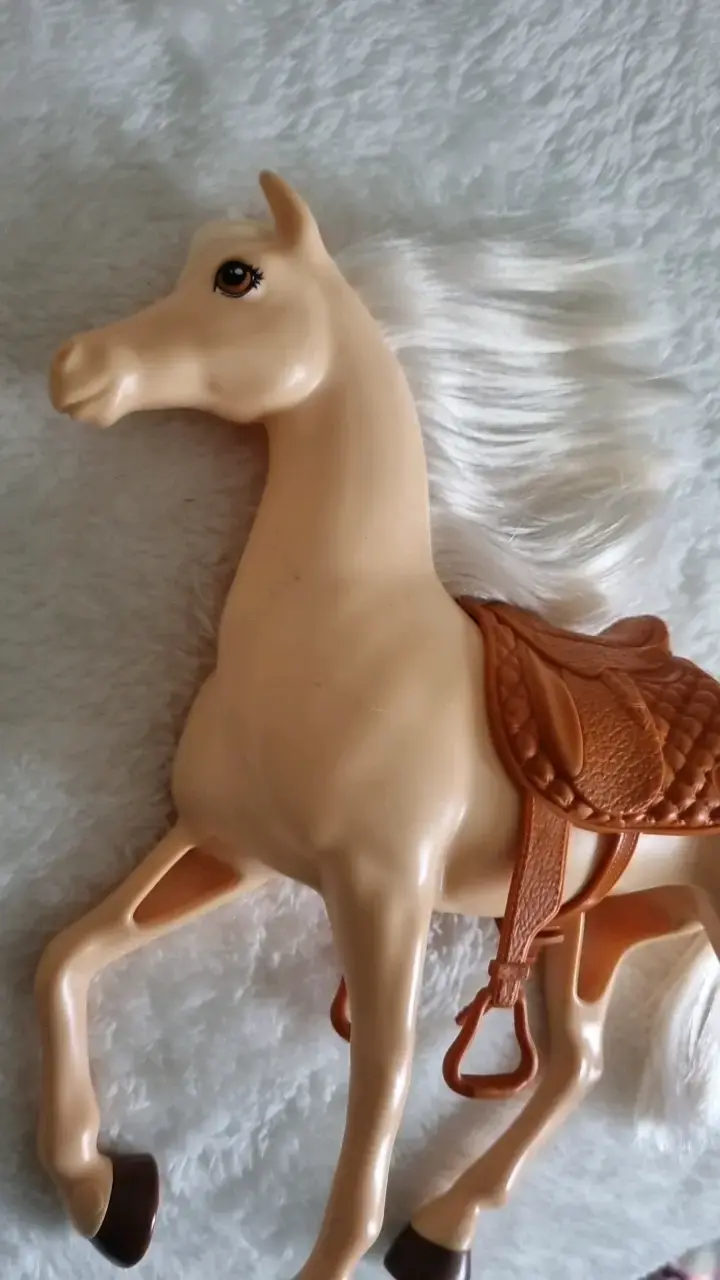 Barbie con caballo y accesorios de equitación - 4