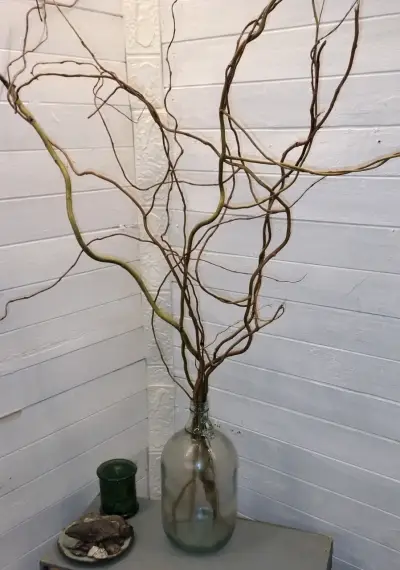 Jarrón de vidrio con ramas decorativas - miniatura 1