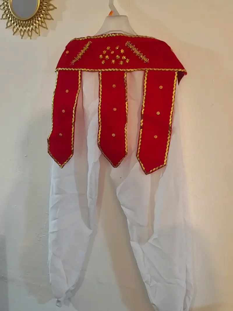 Traje Diablada - 3