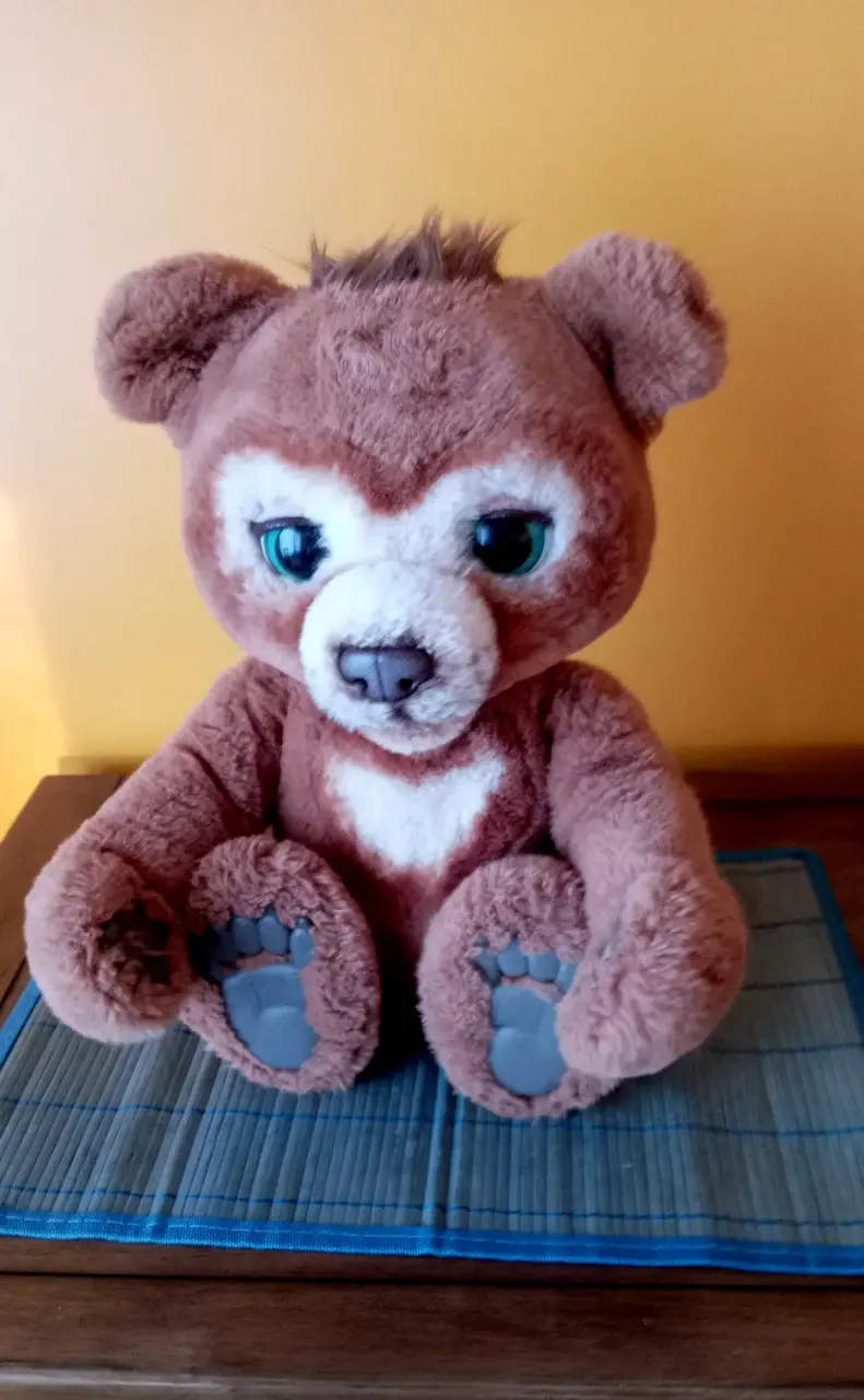 Peluche de oso marrón con ojos grandes - 1