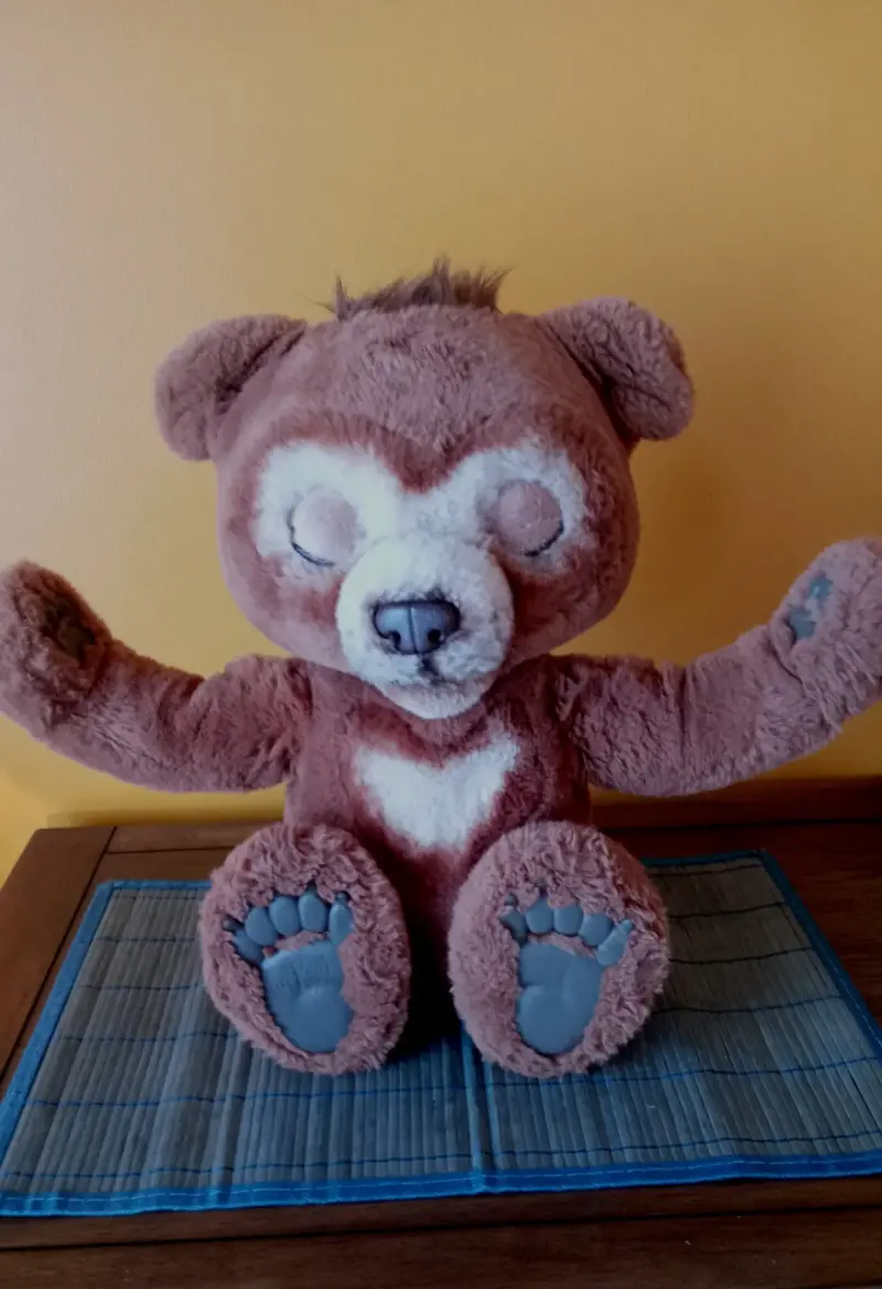 Peluche de oso marrón con ojos grandes - 4