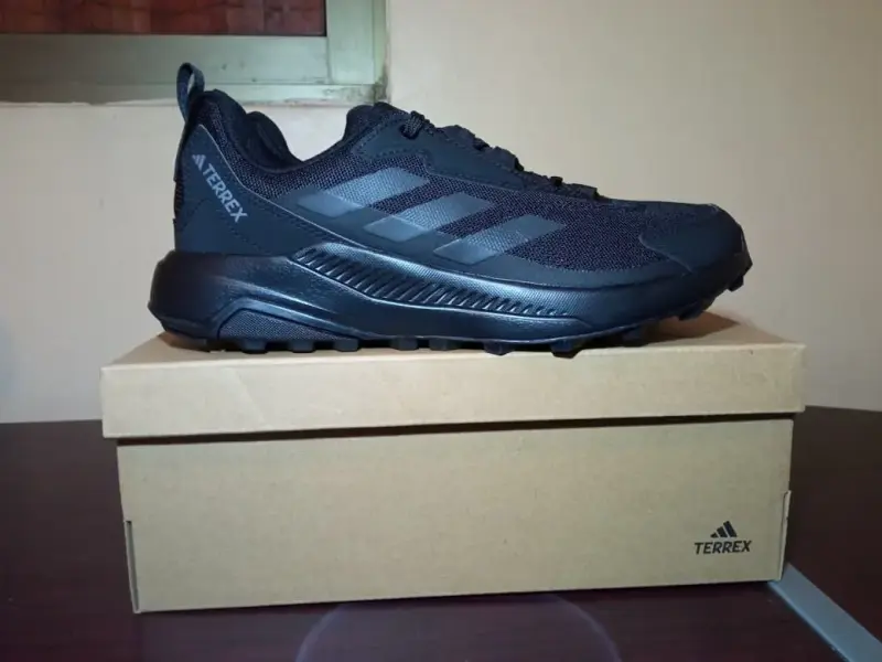 Zapatillas Adidas Terrex Anylander Negras