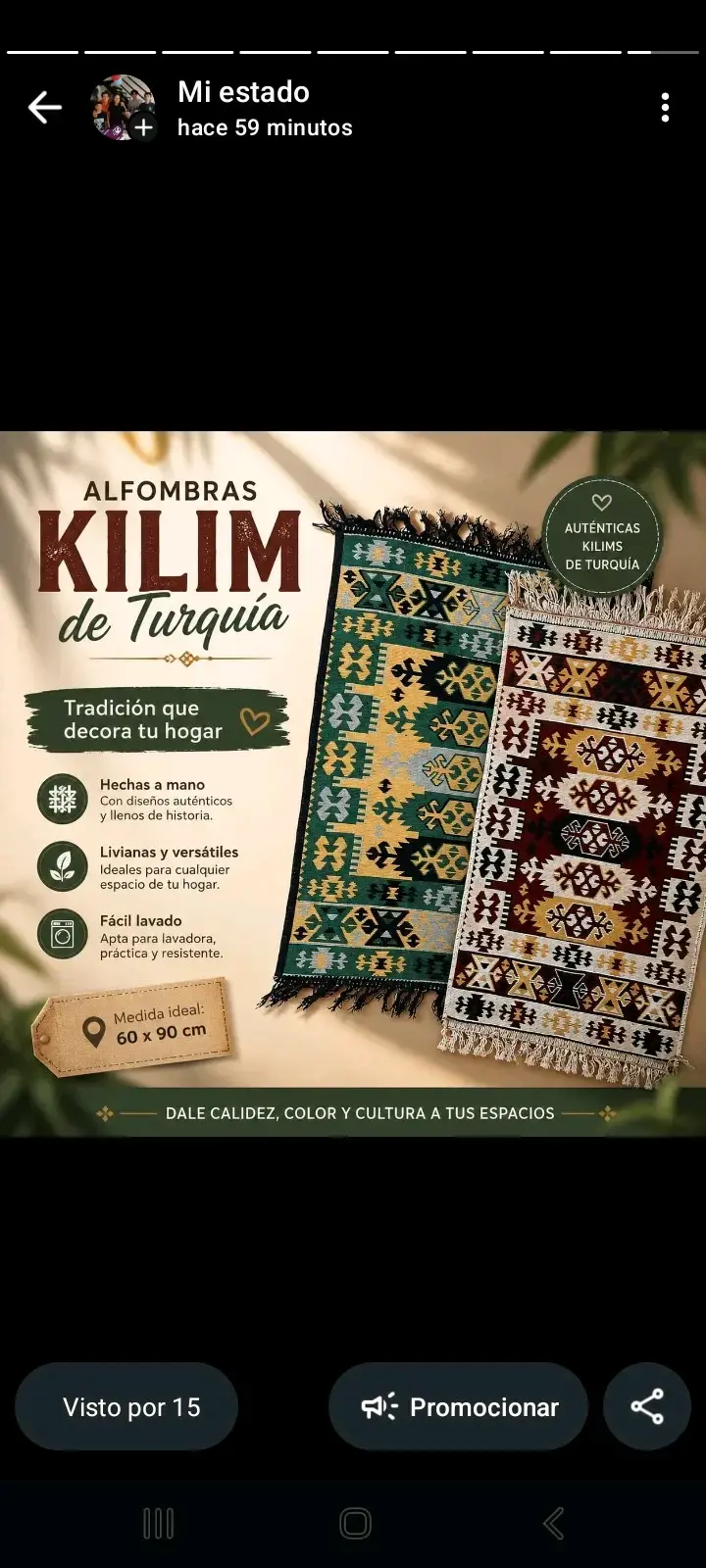 Alfombra Kilim de Turquía hecha a mano