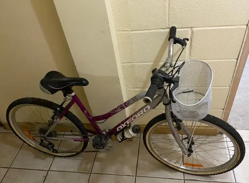 Bicicleta Oxford morada con canasto - 1