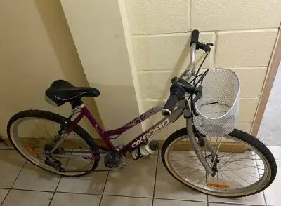 Bicicleta Oxford morada con canasto - miniatura 1