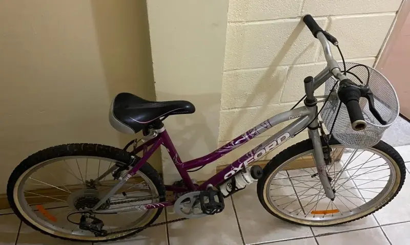 Bicicleta Oxford morada con canasto - 2
