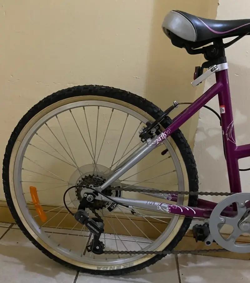 Bicicleta Oxford morada con canasto - 3