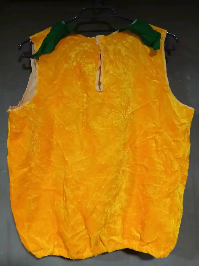 Disfraz calabaza Halloween talla 6 a 10 años - 2