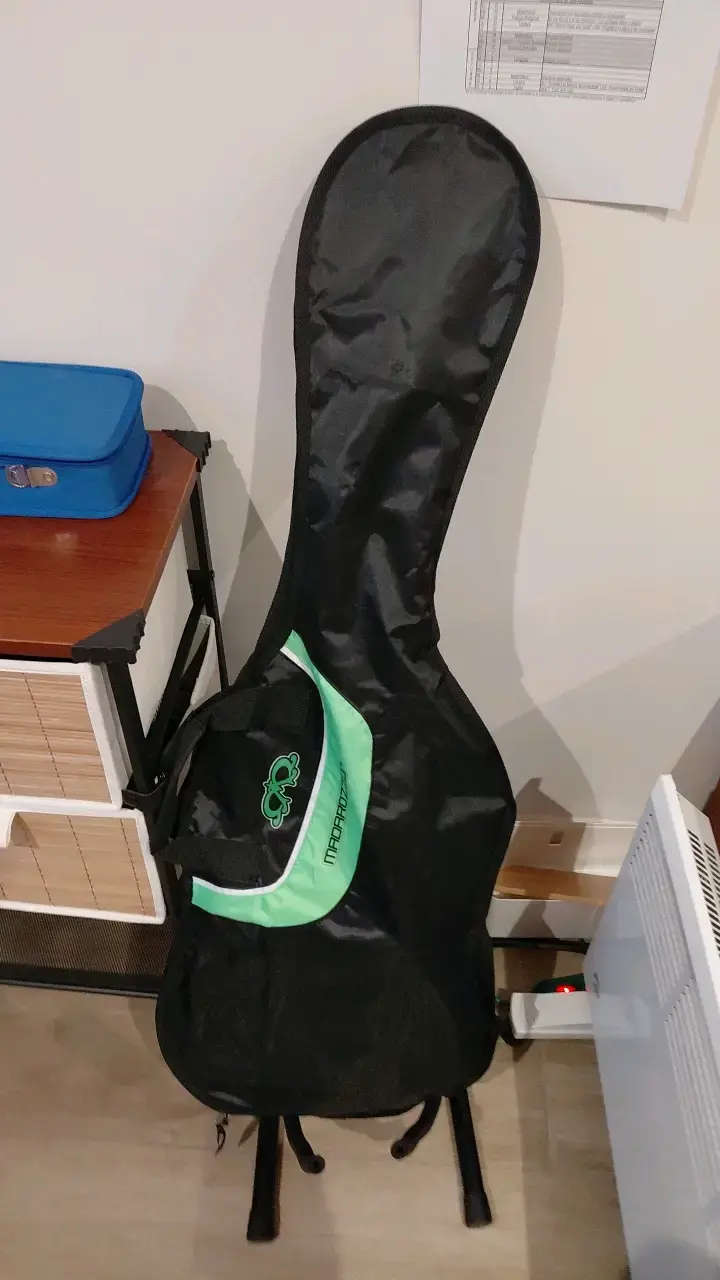 Guitarra eléctrica tipo Stratocaster+funda - 2