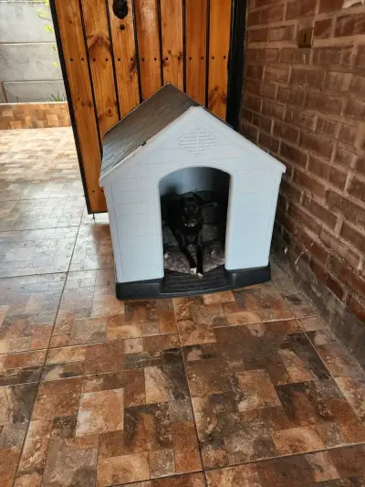 Casa de perro Petizoos XL blanca y azul - miniatura 2