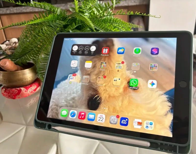 iPad de novena generación con funda verde - 2