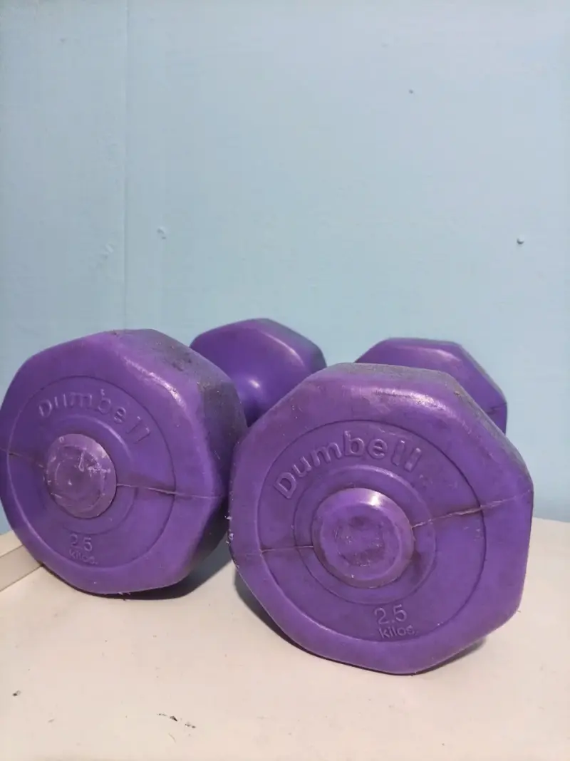 Mancuernas de 2.5 kg color morado - 1