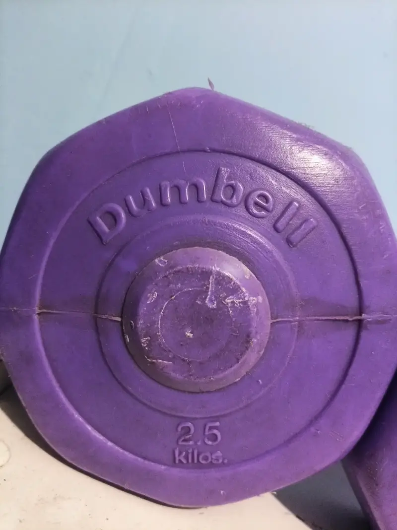 Mancuernas de 2.5 kg color morado - 2
