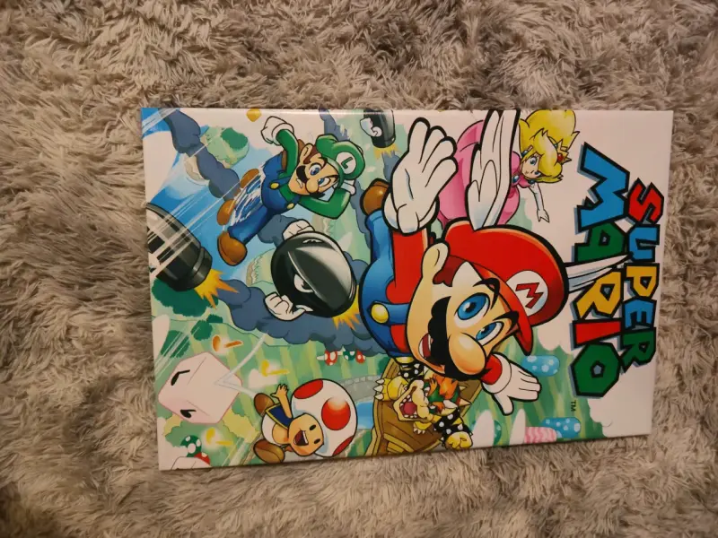 Cuadro decorativo Super Mario Bros